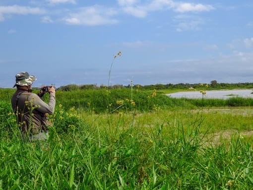 Man bird watching by a lake