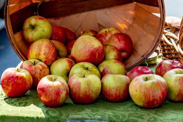 Ely Apple Festival in Cambridge