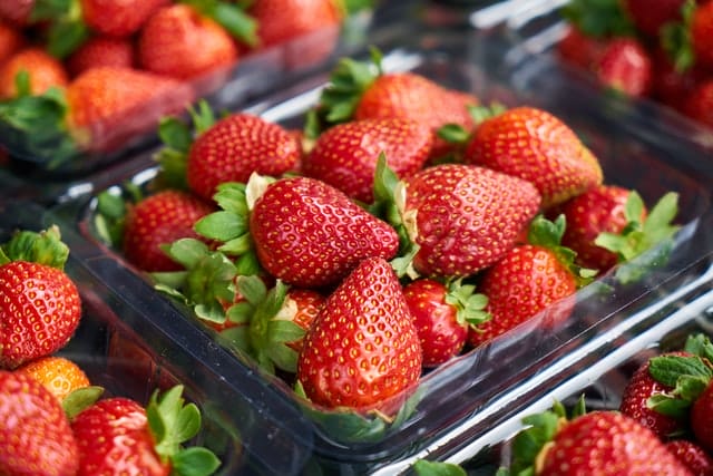 Strawberry Fair at Midsummer Common in Cambridge