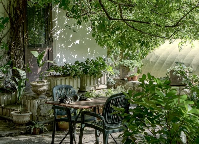 garden party - table and chairs set out